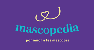 Bienvenidos a Provetcre